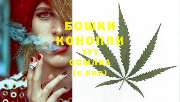 spice Бугульма