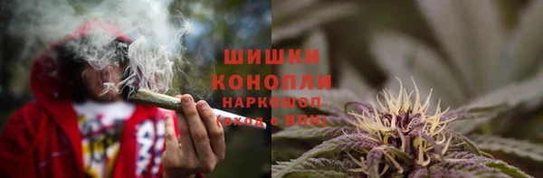 трава Бронницы