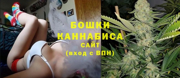 прущая мука Бородино