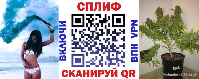 Бошки Шишки планчик  как найти   Новосокольники 